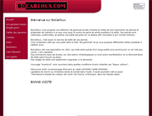 Tablet Screenshot of bocailloux.com